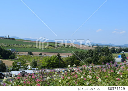 View from Kanno Farm 88575529