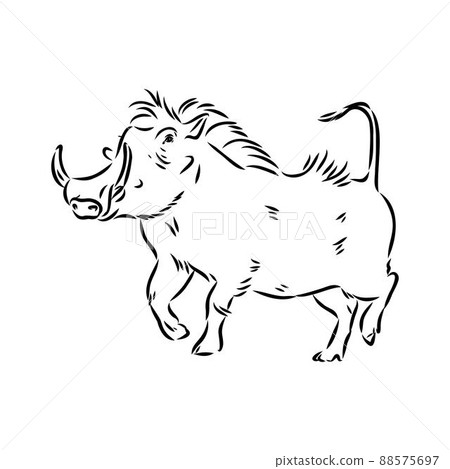 Black and white vector line drawing of a Warthog 88575697