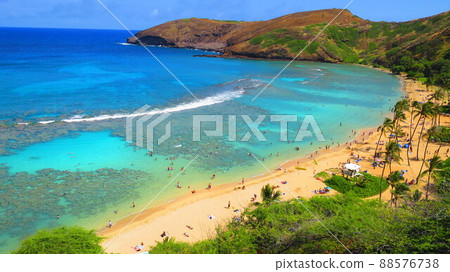 Hawaii Honolulu Landscape Hawaii Honolulu Landscape 88576738