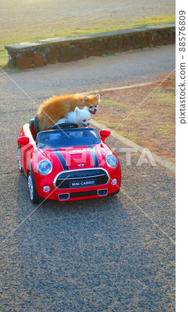 夏威夷檀香山風景 88576809