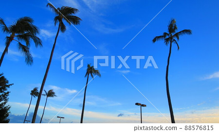 夏威夷檀香山風景 夏威夷檀香山風景 88576815