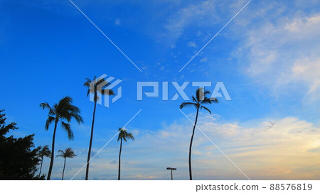 夏威夷檀香山風景 88576819