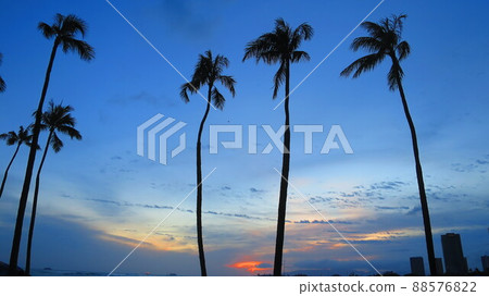 夏威夷檀香山風景 88576822