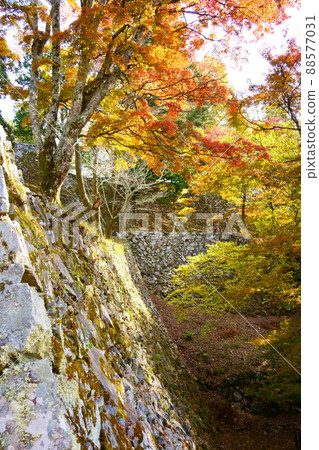 秋天的高取城跡/紅葉(奈良縣高市郡高取町) 秋天的高取城跡/紅葉(奈良縣高市郡高取町) 88577031