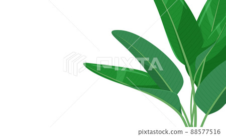 奧古斯塔插圖_背景材料_16：9 88577516