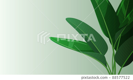 Augusta Illustration_Background Material_16: 9 88577522