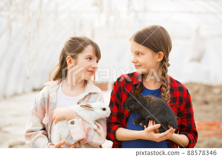 Girls with rabbits look at each other Girls with rabbits look at each other 88578346