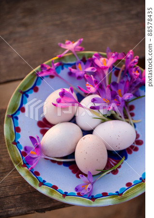 Spring purple crocuses and chicken eggs 88578435