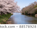 櫻花和河流。平靜的日常生活 88578928