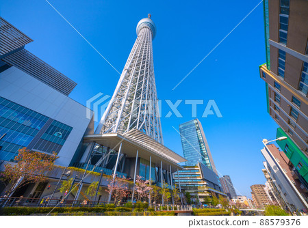 Tokyo cityscape in Japan I want to see the Tokyo Sky Tree, etc. that shines in the blue sky 88579376