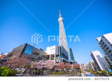 Tokyo cityscape in Japan I want to see the Tokyo Sky Tree, etc. that shines in the blue sky 88579378