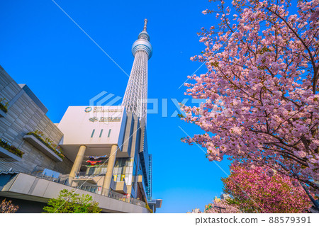 日本的東京城市景觀，我想看看在藍天下閃閃發光的東京天空樹等 88579391