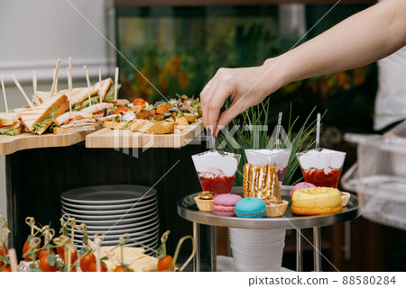 Delicacies and snacks at the buffet or banquet. Catering. Delicacies and snacks at the buffet or banquet. Catering. 88580284
