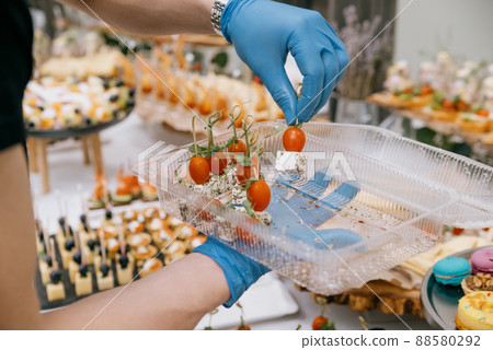 Cheese canapes with wine on table. Catering. Cheese canapes with wine on table. Catering. 88580292