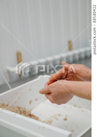 The process of making homemade dumplings.Russian food. The process of making homemade dumplings.Russian food. 88580412