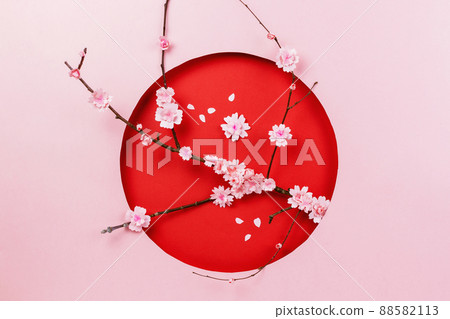 Spring papercraft composition with sakura branch on pink and red background 88582113