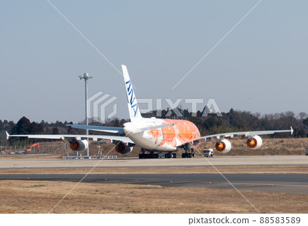 All Nippon Airways (ANA) Flying Honu 88583589