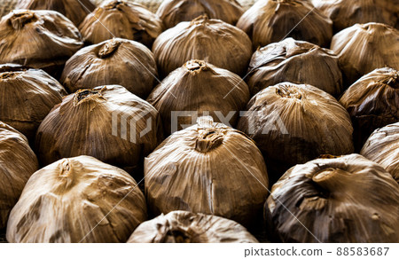 Black garlic 88583687
