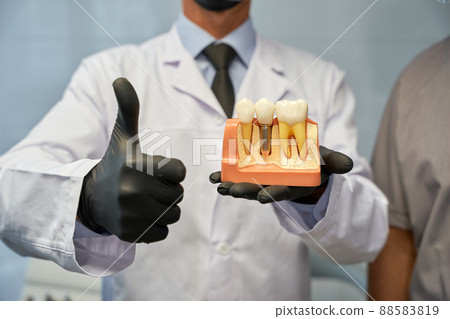 Unrecognised dental technician posing with model of tooth implant 88583819