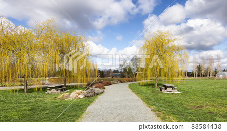 Scenic path in a park with green field and trees in a city. Scenic path in a park with green field and trees in a city. 88584438