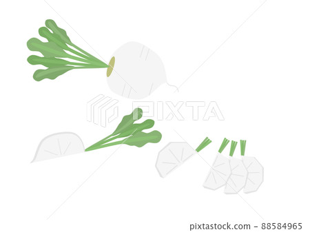 蕪菁 蕪菁 88584965