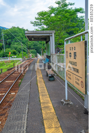 Watarase Valley鐵路中野站首頁初夏風景 88585259