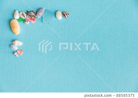 貝殼背景材料 貝殼背景材料 88585375