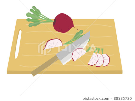 Red turnip - Stock Illustration [88585720] - PIXTA