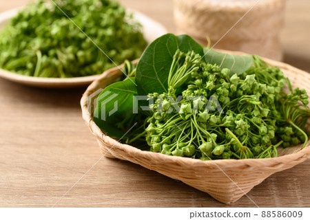 Dregea volubilis flower in bamboo basket, Edible flower  Dregea volubilis flower in bamboo basket, Edible flower  88586009
