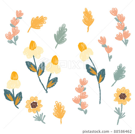 Simple Abstract hand drawn various shapes and doodle Botanical Nature flowers and Leaves objects Wedding concept - flowers. Floral poster, invite. vector Elements illustration Simple Abstract hand drawn various shapes and doodle Botanical Nature flowers and Leaves objects Wedding concept - flowers. Floral poster, invite. vector Elements illustration 88586462