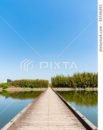 關東地區罕見的沉降橋，Kokai河，Omenuma橋的春天風景 88586891