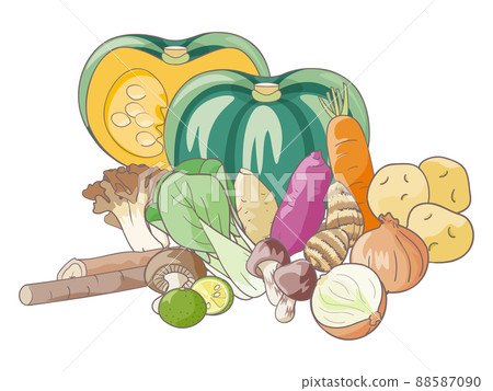 Autumn vegetables 88587090