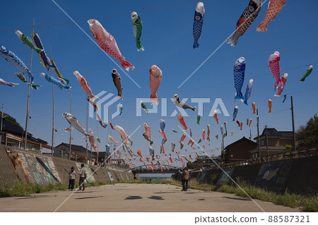 A horde of carps in a clear blue sky A horde of carps in a clear blue sky 88587321