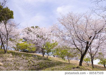 千葉縣成田市成田市櫻山市 千葉縣成田市成田市櫻山市 88587509