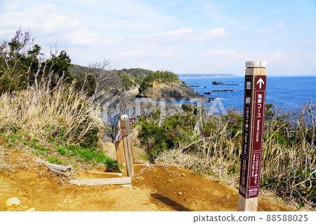 Minamiizu Cape Tarai Promenade From Cape Tarai to the coastal course 88588025