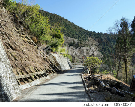 東京日野原村 88588087