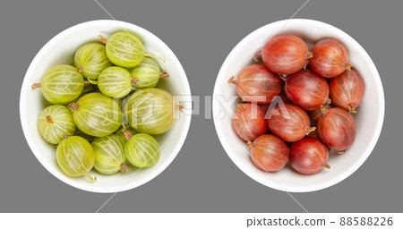 Green and red gooseberries, in white bowls, over gray. Fresh berries, fruits of the Ribes family, also known as European gooseberry with sourish sweet taste. Close-up, from above, macro food photo. 88588226