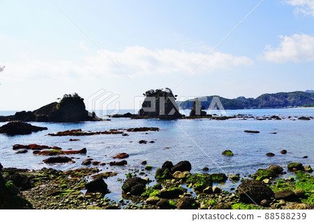 Minamiizu Trail, Cape Tarai Promenade, Shutomeiwa and Suzumeiwa in Ounohama 88588239