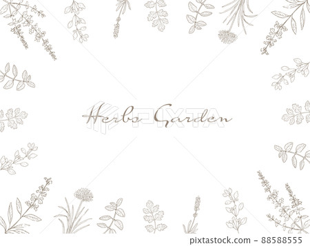Line art herb frame 88588555
