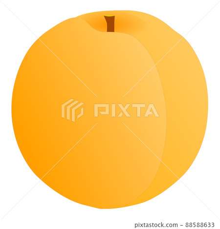 1 ripe apricot fruit 1 ripe apricot fruit 88588633