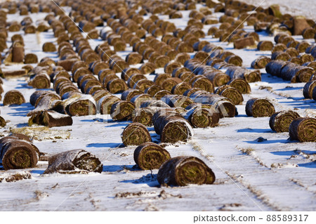 Lawn roll before wintering 88589317