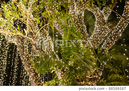 Blur Image Decorative outdoor string lights hanging on tree in the garden at night time 88589387