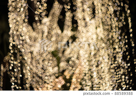 Blur Image Decorative outdoor string lights hanging on tree in the garden at night time 88589388