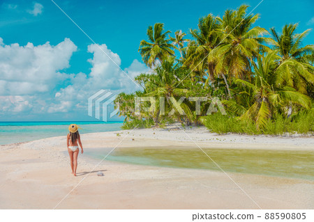 Luxury paradise private island woman traveller relaxing walking on remote beach in the Rangiroa atoll, Tuamotu islands, French Polynesia. Bikini girl on cruise excursion 88590805