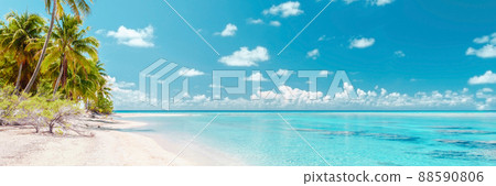 Beach paradise travel vacation tropical getaway in Rangiroa atoll, Tuamotu islands, French Polynesia. Tahiti honeymoon destination with idyllic pristine ocean crystal clear turquoise water Beach paradise travel vacation tropical getaway in Rangiroa atoll, Tuamotu islands, French Polynesia. Tahiti honeymoon destination with idyllic pristine ocean crystal clear turquoise water 88590806