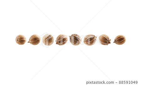 A set of coriander seeds. Isolated on a white background 88591049