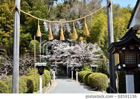 Kuehiko Shrine (Torii) [Miwa, Sakurai City, Nara Prefecture] 88591136