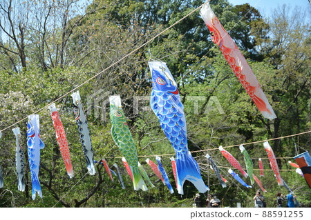 鯉魚旗 鯉魚旗 88591255