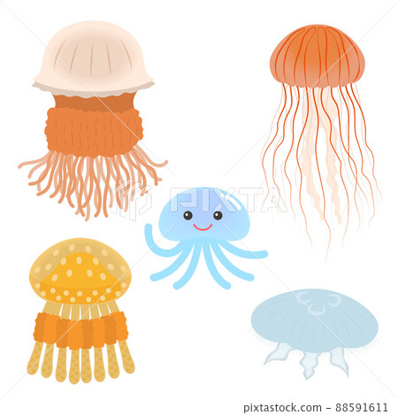 Jellyfish illustration set 88591611