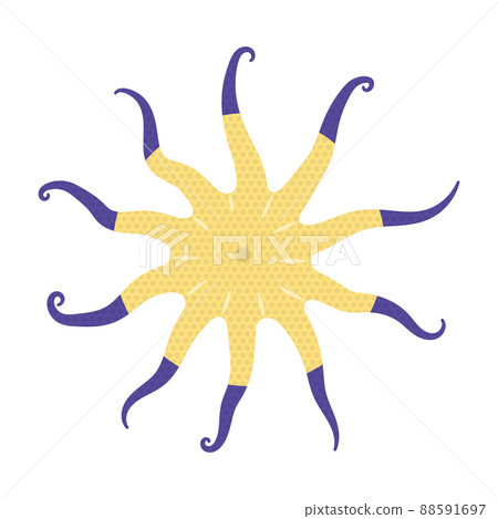 向日葵海星的插圖 88591697